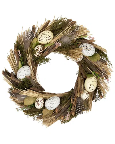 Northlight Speckled Eggs & Feathers Artificial Easter Wreath In Green