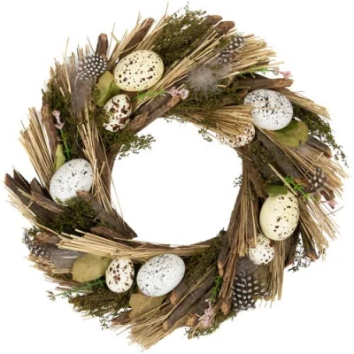 Northlight Speckled Eggs And Feathers Artificial Small Earthy Easter Wreath In Brown