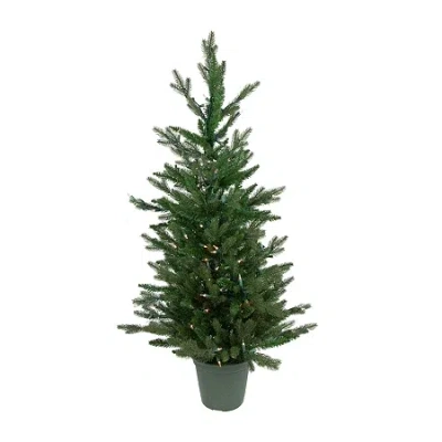 Northlight Spruce Potted 4 Foot Pre-lit Spruce Christmas Tree In Green