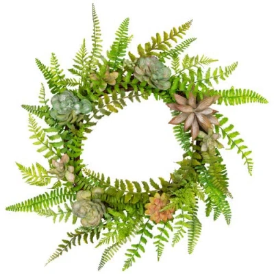 Northlight Succulents And Foliage Artificial Spring Twig Wreath, Green