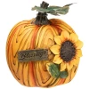 Northlight Sunflower Blessings Pumpkin Fall Harvest Decoration In Orange
