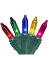 Northlight Vibrantly Colored Mini Christmas Light In Multi