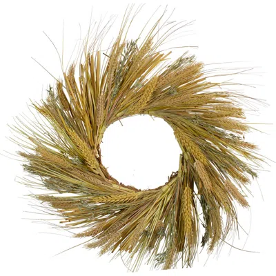 Northlight Wheat And Straw Artificial Fall Harvest Wreath In Brown