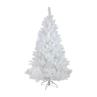 Northlight White Alaskan Artificial Warm White Led Lights 6 1/2 Foot Pre-lit Pine Christmas Tree