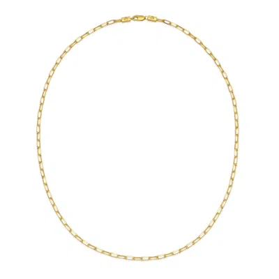 Northskull Men's Chain Link Necklace In Gold