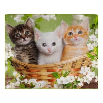 Northwest Basket Of Kittens Raschel Throw Blanket, 50 X 60 Inches In Multi