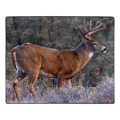 Northwest First Frost Buck Raschel Throw Blanket, 50 X 60 Inches In Multi