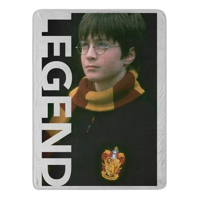 Northwest Harry Potter Legend Micro Raschel Throw