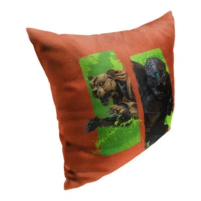 Northwest Indoor/outdoor Pillow Cover