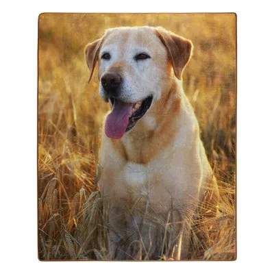 Northwest Magic Hour Yellow Lab Raschel Throw Blanket, 50 X 60 Inches In Multi