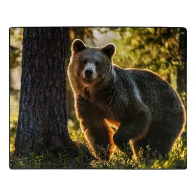 Northwest Morning Stroll Brown Bear Raschel Throw Blanket, 50 X 60 Inches In Multi
