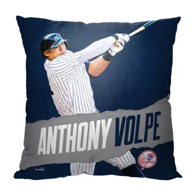 Northwest No Patern Indoor/outdoor Pillow Cover In Multi