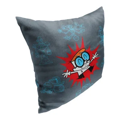Northwest Pillow Cover In Gray