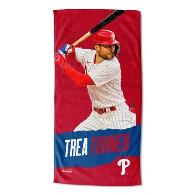 Northwest Poly/cotton Beach Towel In Multi