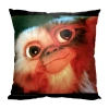 Northwest Polyester Pillow Cover