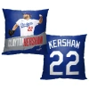 Northwest Polyester Pillow Cover In Blue