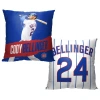 Northwest Polyester Pillow Cover In Blue