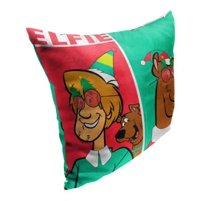Northwest Polyester Pillow Cover In Green