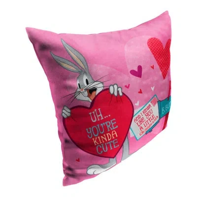 Northwest Polyester Pillow Cover In Pink