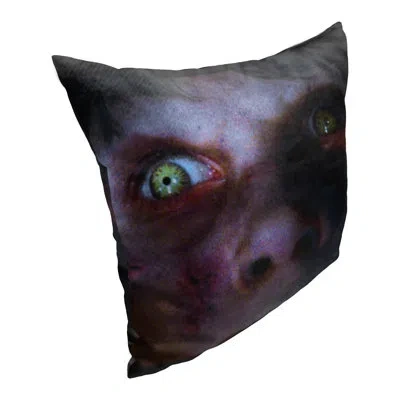 Northwest Polyester Pillow Cover In Unavaliable
