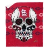 Northwest Throw Blanket In Multi