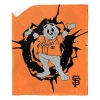 Northwest Throw Blanket In Multi
