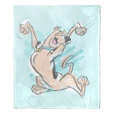 Northwest Warner Bros. Scooby Doo Throw In Multi