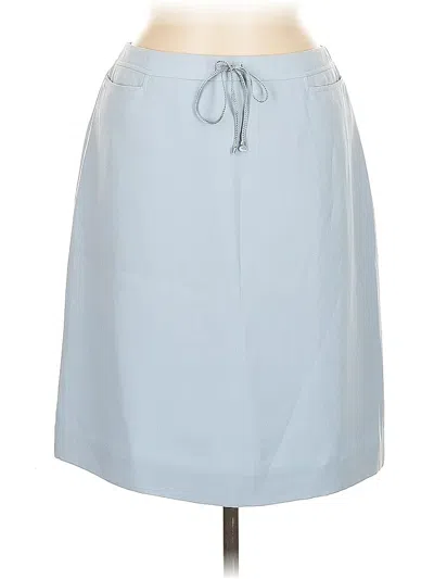 Pre-owned Norton Mcnaughton Casual Skirt In Blue