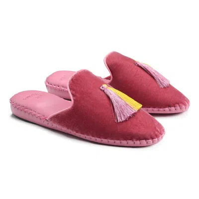 Not Just Pajama Pink / Purple Women Classic Velvet Slippers - Pink & Purple In Pink/purple