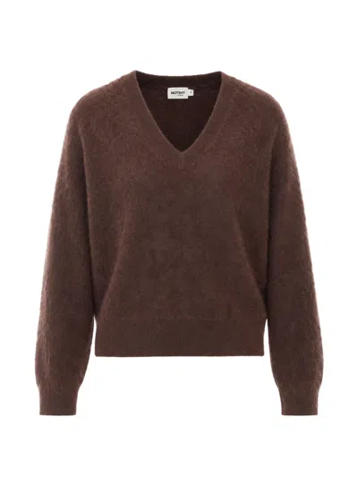 Not Shy Bethnan V-neck Sweater In Brown