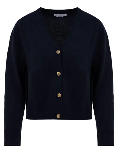 Not Shy Sweaters In Blue