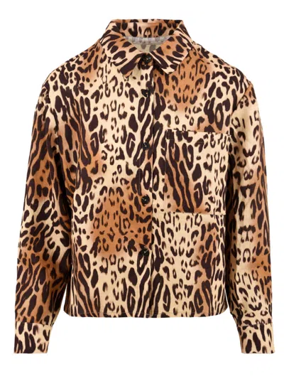 Not Shy Shirts Brown