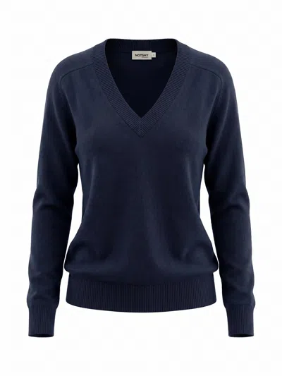 Not Shy `lucien` V Neck Sweater In Blue