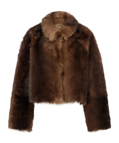 Nour Hammour Cameron Cropped Shearling Jacket In Brown