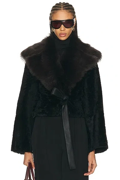 Nour Hammour Renata Coat