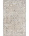 Nourison Astra Machine Washable Asw12 4' X 6' Area Rug In Beige