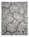 Nourison Divine Div02 Area Rug, 5'6 X 7'5 In Charcoal