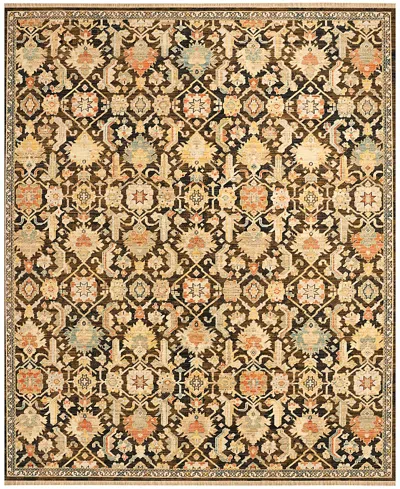 Nourison Home Antique Bloom Anb02 8'x10' Area Rug In Brown