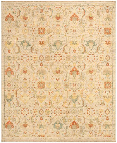 Nourison Home Antique Bloom Anb02 8'x10' Area Rug In Multi
