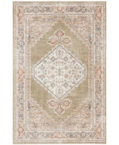 Nourison Home Astra Machine Washable Asw11 Area Rug In Brown