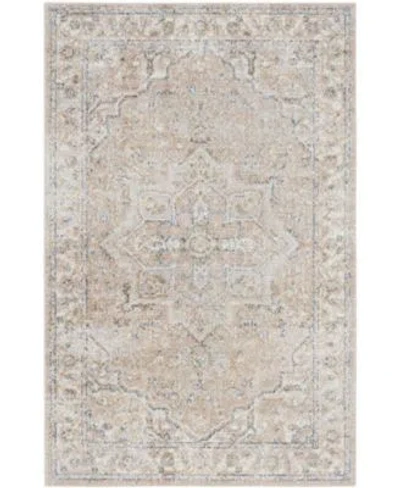 Nourison Home Astra Machine Washable Asw12 Area Rug In Brown