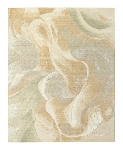 Nourison Home Brushlight Brl03 Area Rug, 7'9x9'9 In Brown