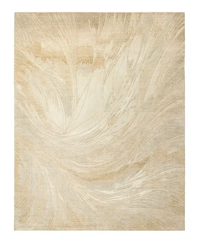 Nourison Home Brushlight Brl04 Area Rug, 2'x2'9 In Brown