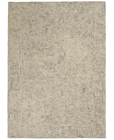 Nourison Home Colorado Clr05 3'9"x5'9" Area Rug In Beige,gray