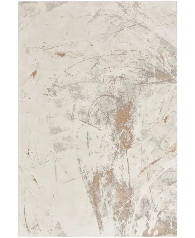 Nourison Home Desire Dsr04 3'11"x5'11" Area Rug In Cream,gray