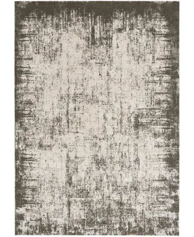 Nourison Home Desire Dsr05 5'3"x7'3" Area Rug In Gray,ivory