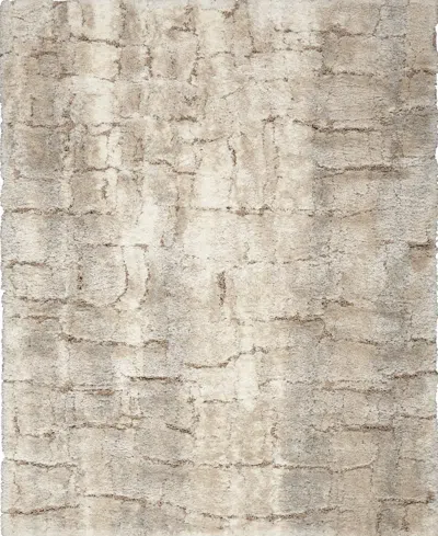 Nourison Home Dreamy Shag Drs09 4'x6' Area Rug In White