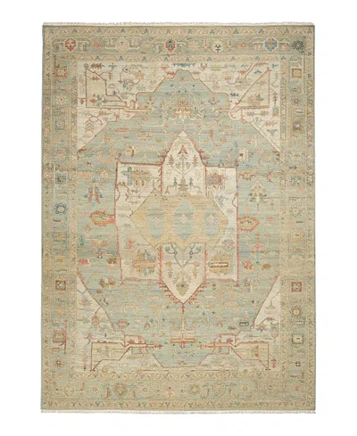 Nourison Home Heritage Vine Htv03 Area Rug, 8'x10' In Green
