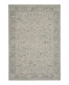 Nourison Home Infinite Ift01 Area Rug, 5'3 X 7'8 In Light/grey