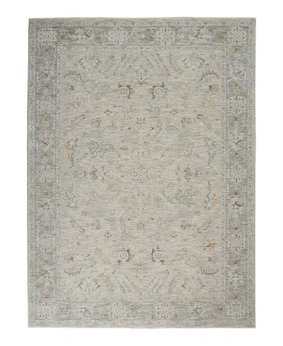 Nourison Home Infinite Ift01 Area Rug, 7'10 X 10'4 In Light/grey